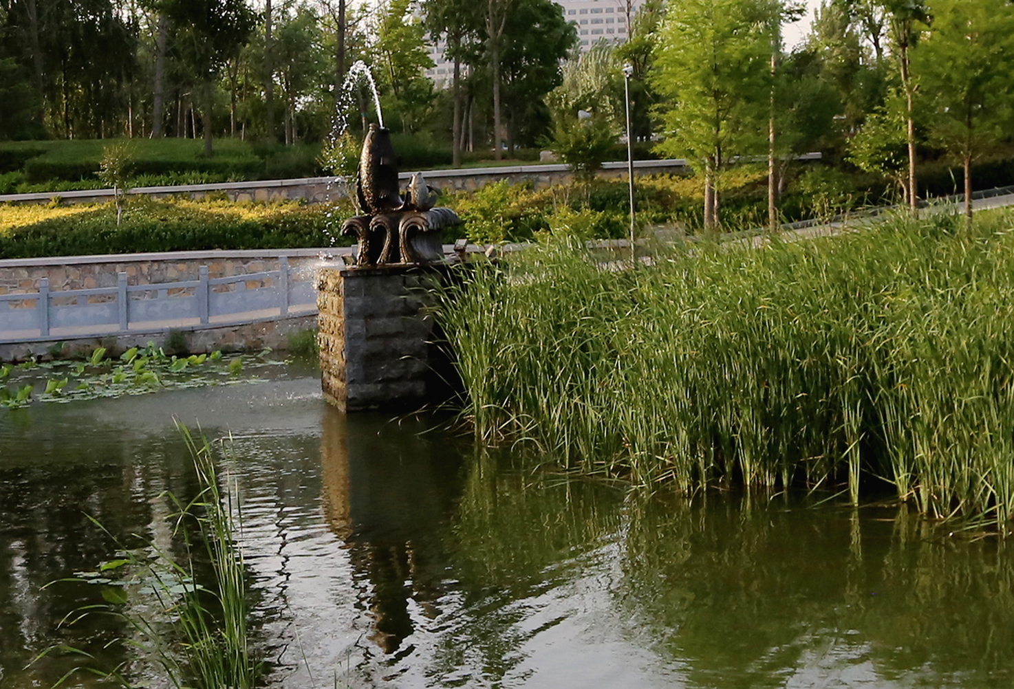 瀛熷鍗虫櫙,瀛熷鍗虫櫙鍙よ瘲涓冨緥