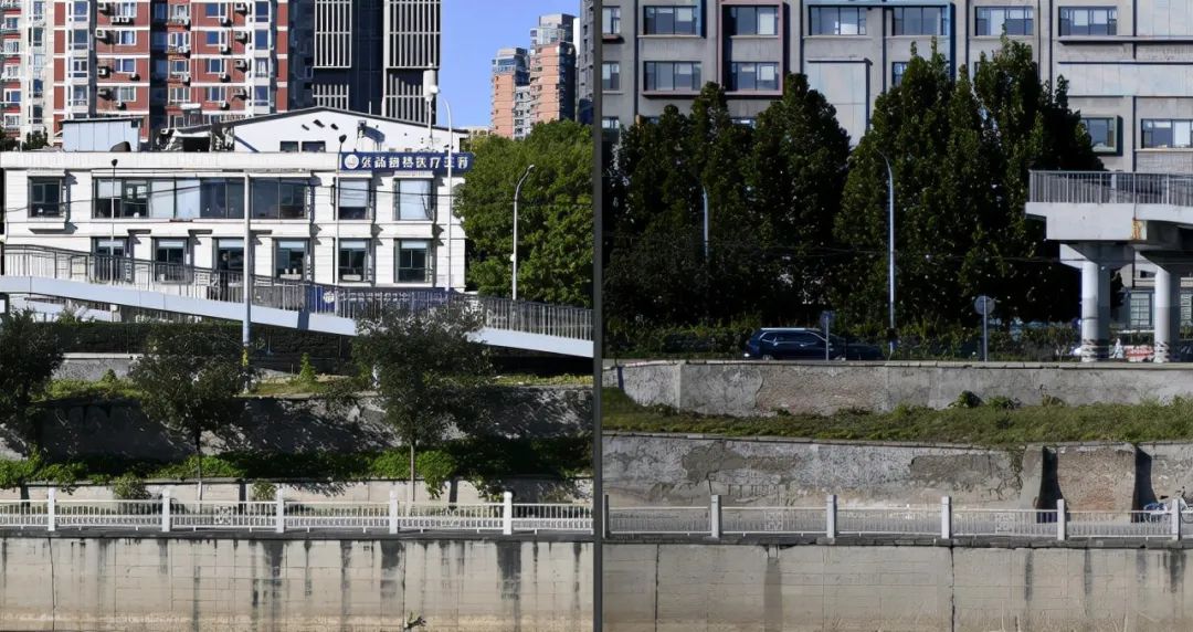 尼康z50配dx镜头,尼康zdx镜头