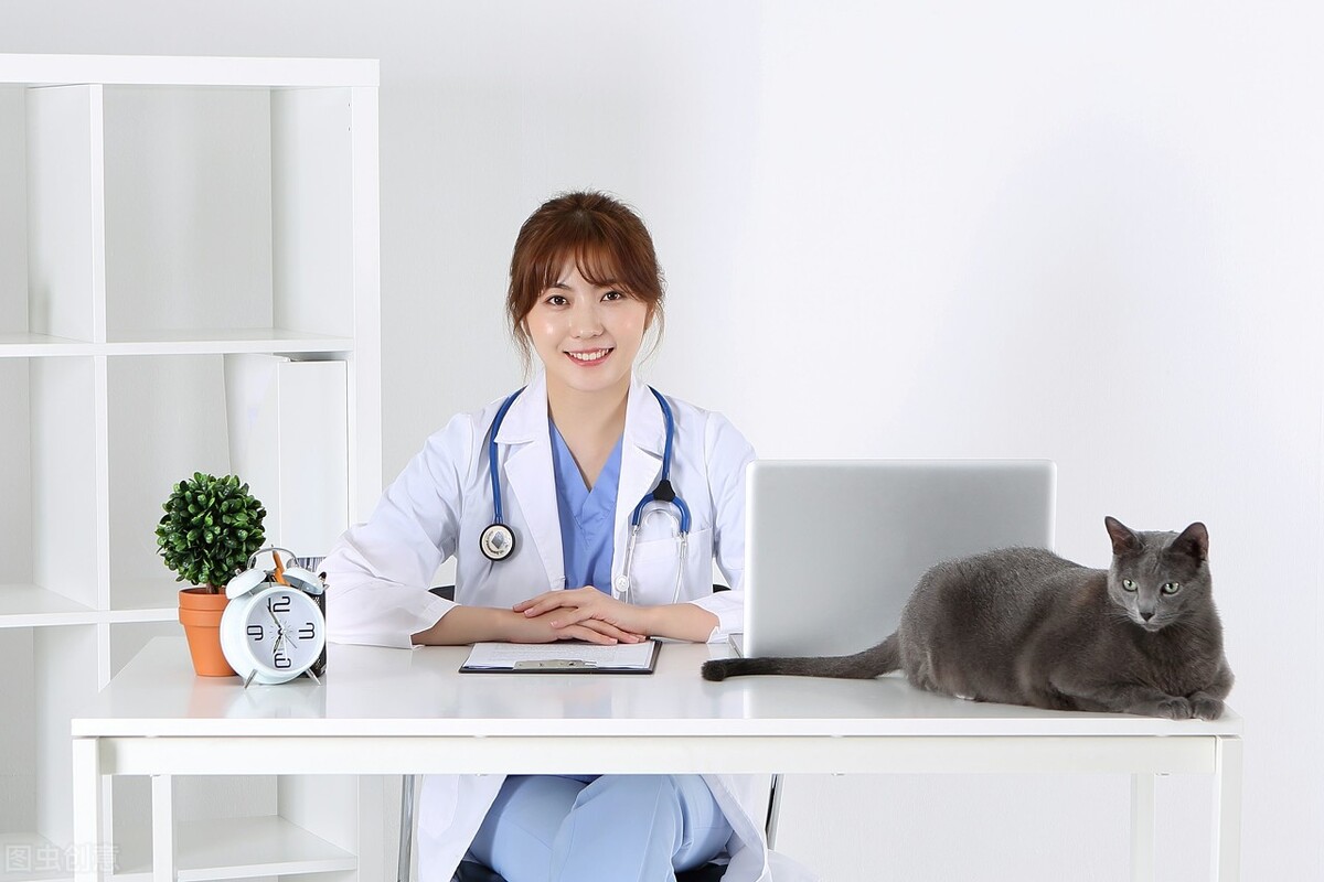 宠物犬得了虱子怎么办？狗狗得虱病的原因以及治疗方法等