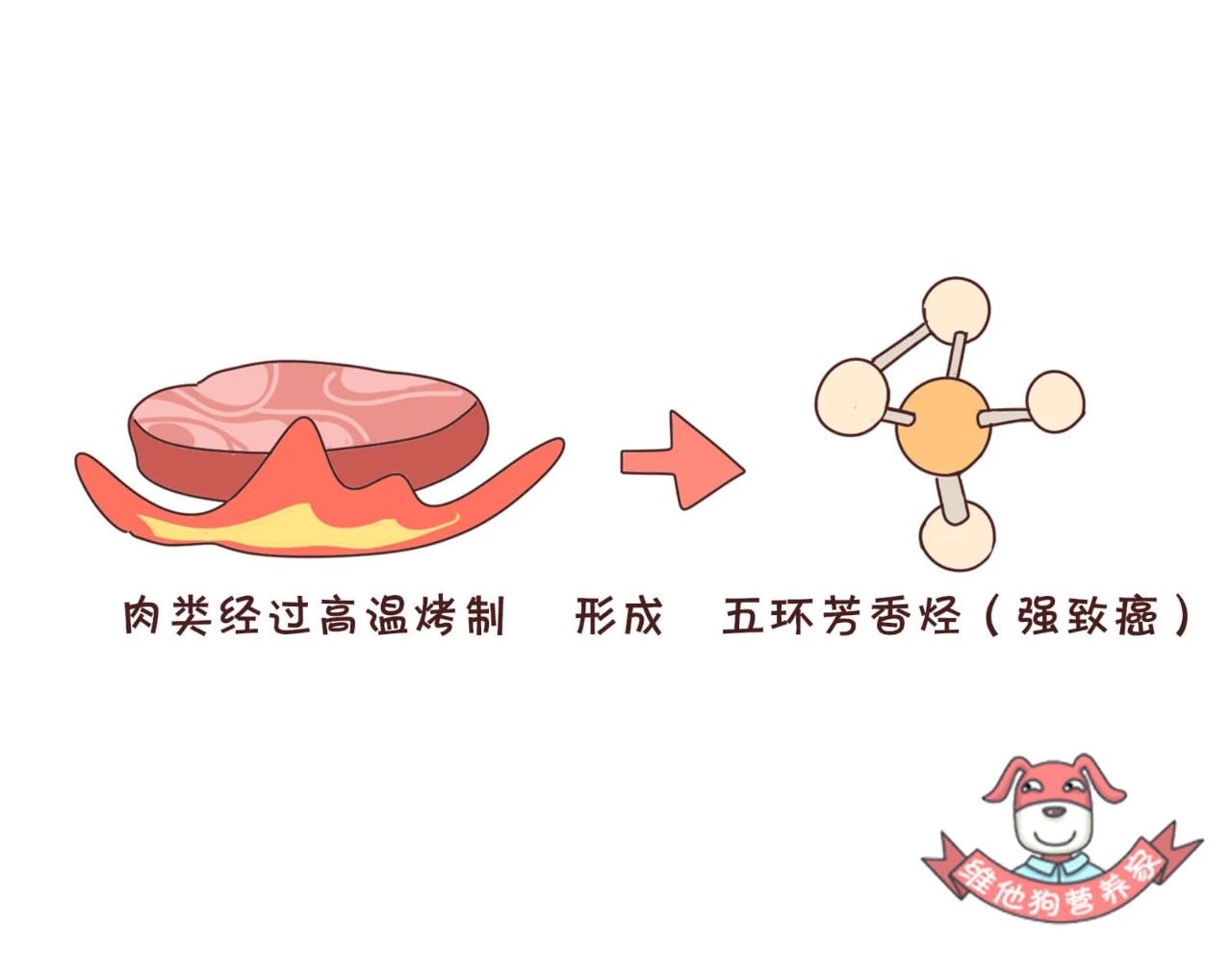 抵挡不了吃的诱惑,烤串撸串攻略