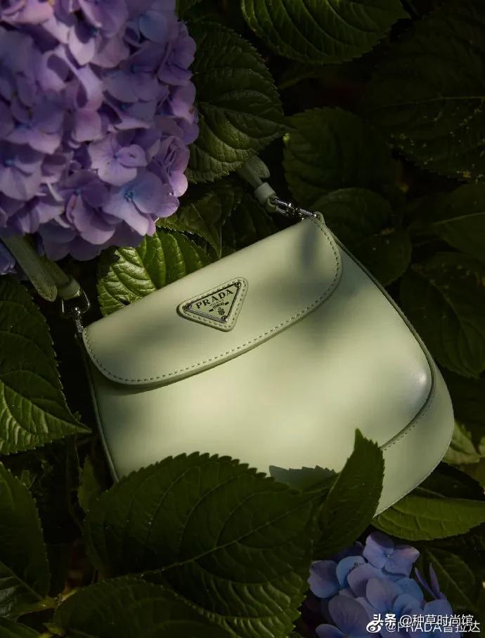 今夏必备的5款包包时髦炸了,5款神仙小众包包