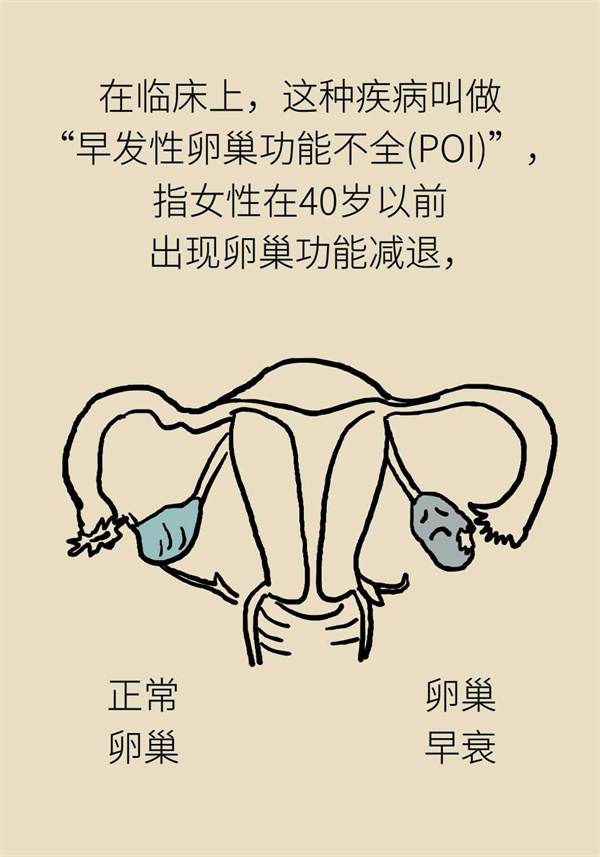 卵巢功能有衰退迹象怎么保养,卵巢功能不好会影响卵巢质量吗