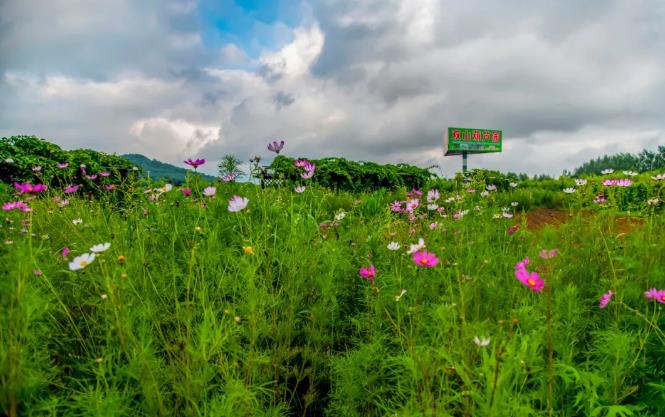 玩真人cs攻略,真人cs户外野战运动去哪玩