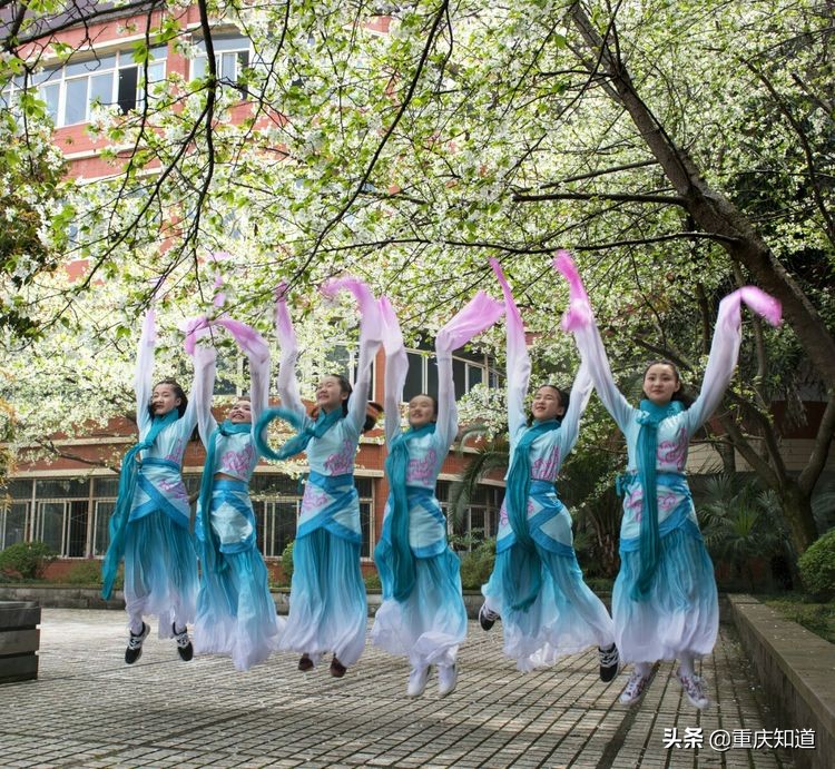 重庆一中名校联合中学,重庆中学十大名校