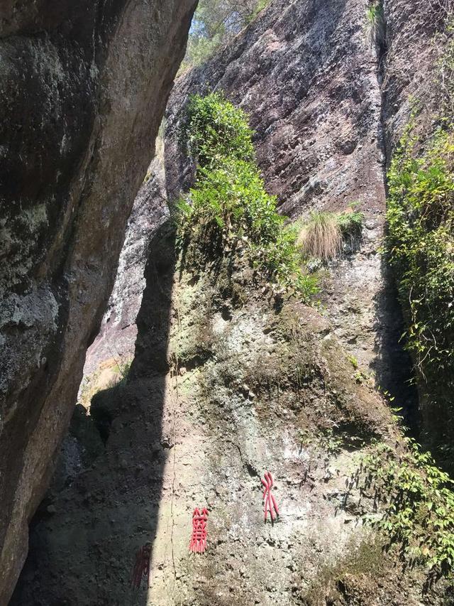 典型的丹霞地貌有碧水丹山之美誉,俯瞰丹霞地貌鬼斧神工令人惊叹