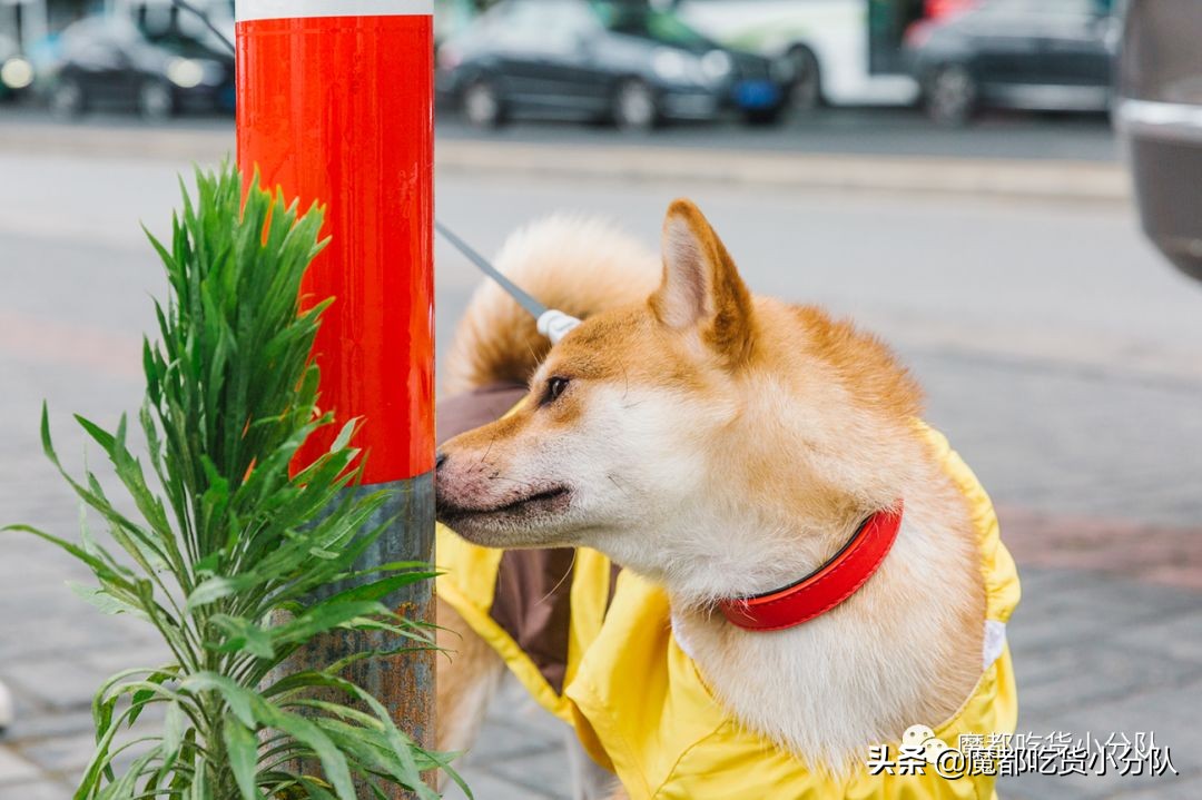 高考择校tips,高考择校指导985211