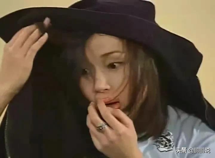 马小玲甄子丹离婚原因,龙虎门甄子丹马小玲