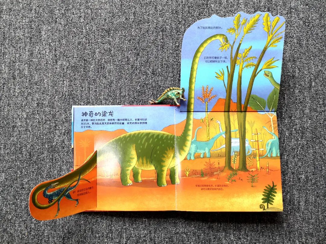 适合孩子看的恐龙科普书,适合5岁孩子看的恐龙科普书