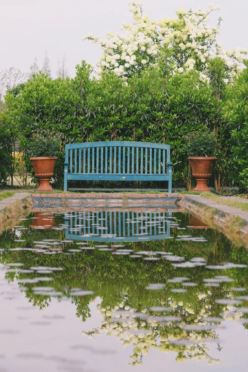 梦幻花园开园了！就在双流彭镇！免费的那种