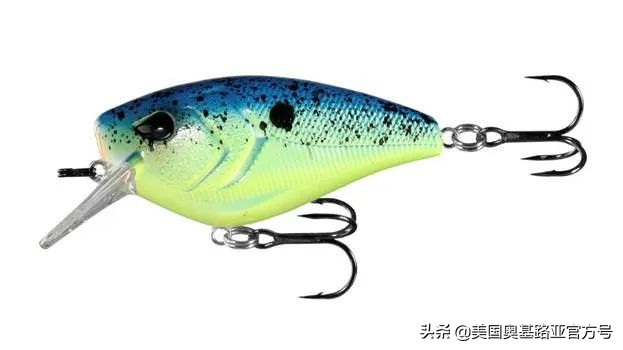 全国渔具展会2024时间表,全国渔具展2024