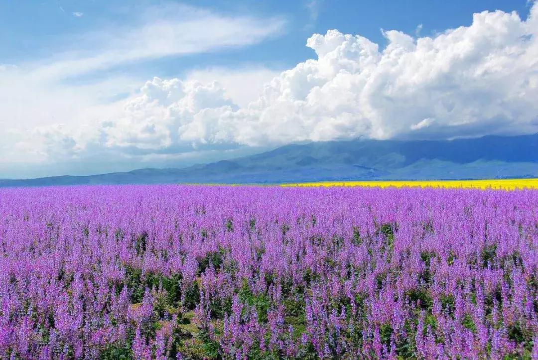 等一个人陪我旅游,等一个人陪我一起跨年