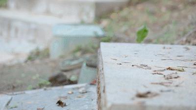 adidas三条杠运动鞋,adidas三条纹鞋舒适感