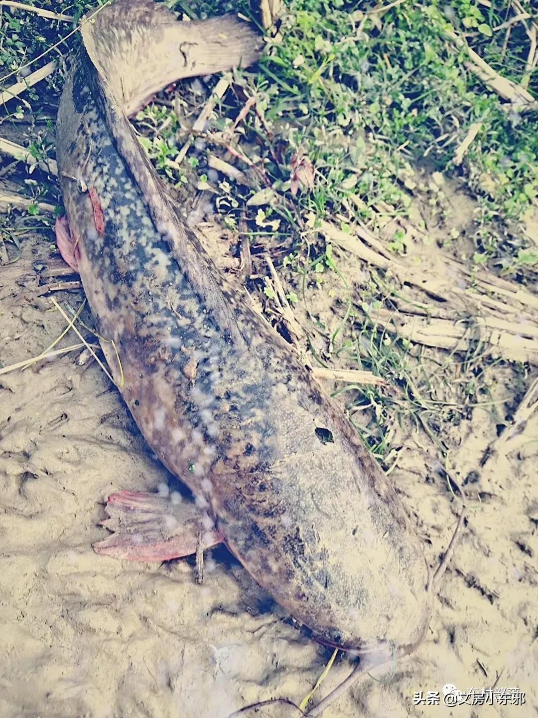 广西河池照片,广西河池图片大全