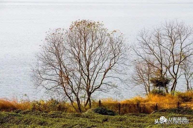 在40万人饮用水的水源地，住青春旅社百里挑一的惬意民宿