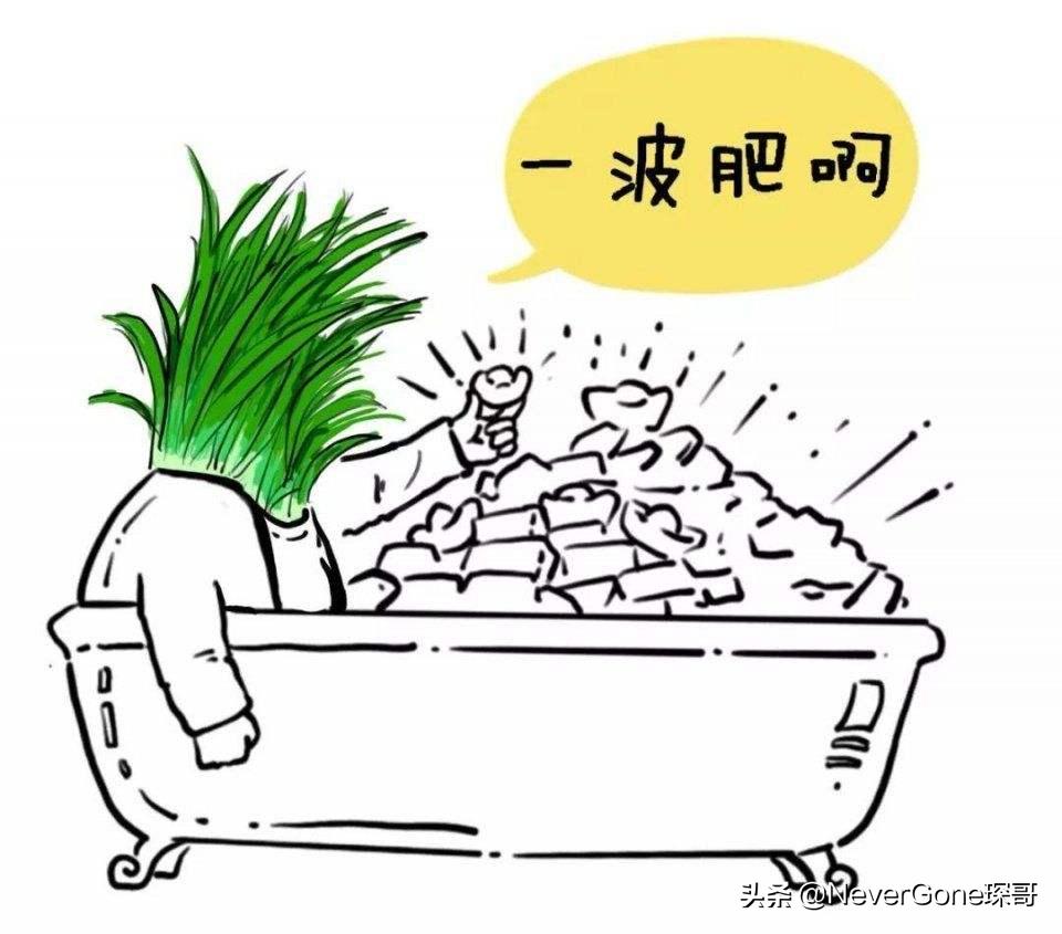 国产工装靴品牌推荐,最知名的工装靴牌子有哪些