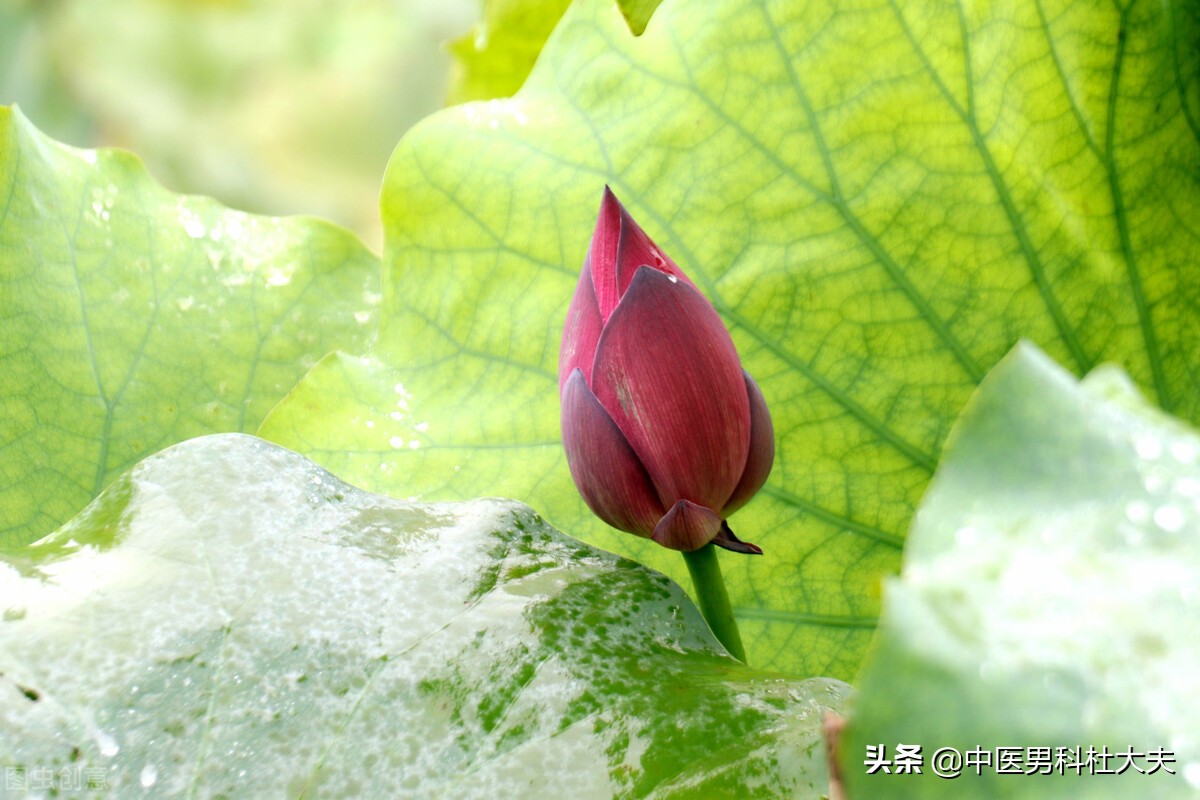 哪些行为可以改善肾气,哪些习惯哪些行为可以补肾