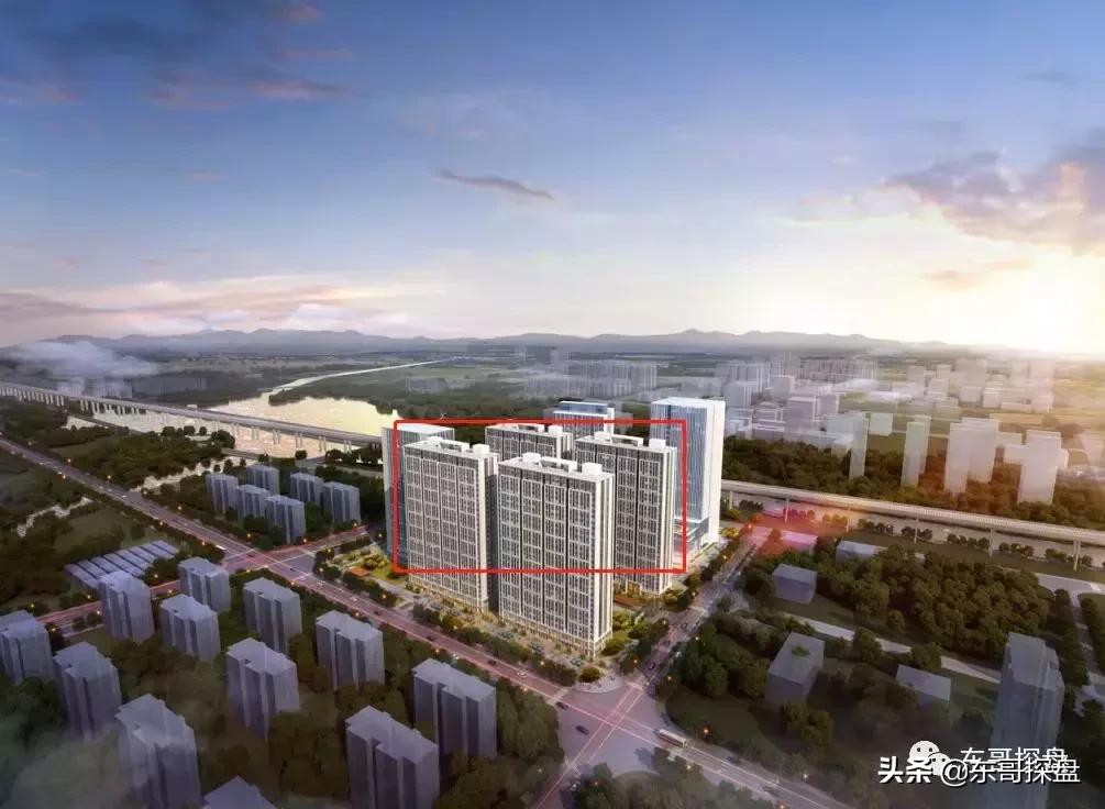 提前布局海南,提前布局基金