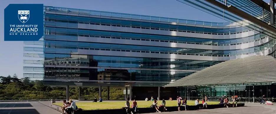 新西兰大龄幼教和护士移民,如何成为新西兰大学老师