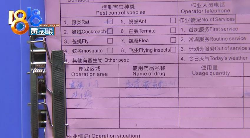 半夜客房里“赶”蟑螂,细看一身“疙瘩”