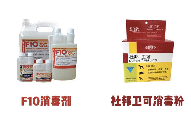 猫用消毒剂推荐,猫家用消毒剂