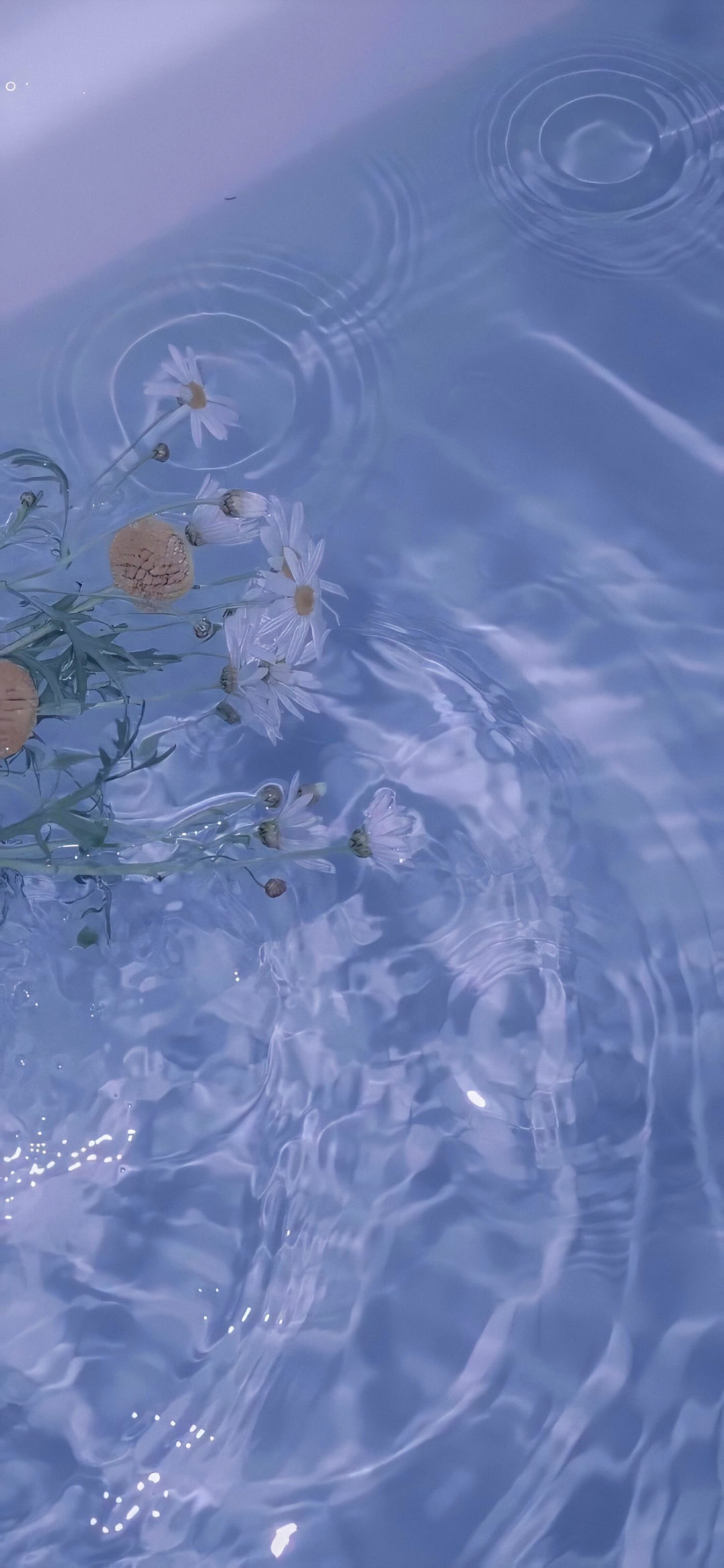 好看的微信聊天背景图男生,微信聊天背景图超清苹果