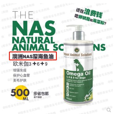 铲屎官是不是上当,铲屎官骗主子的视频