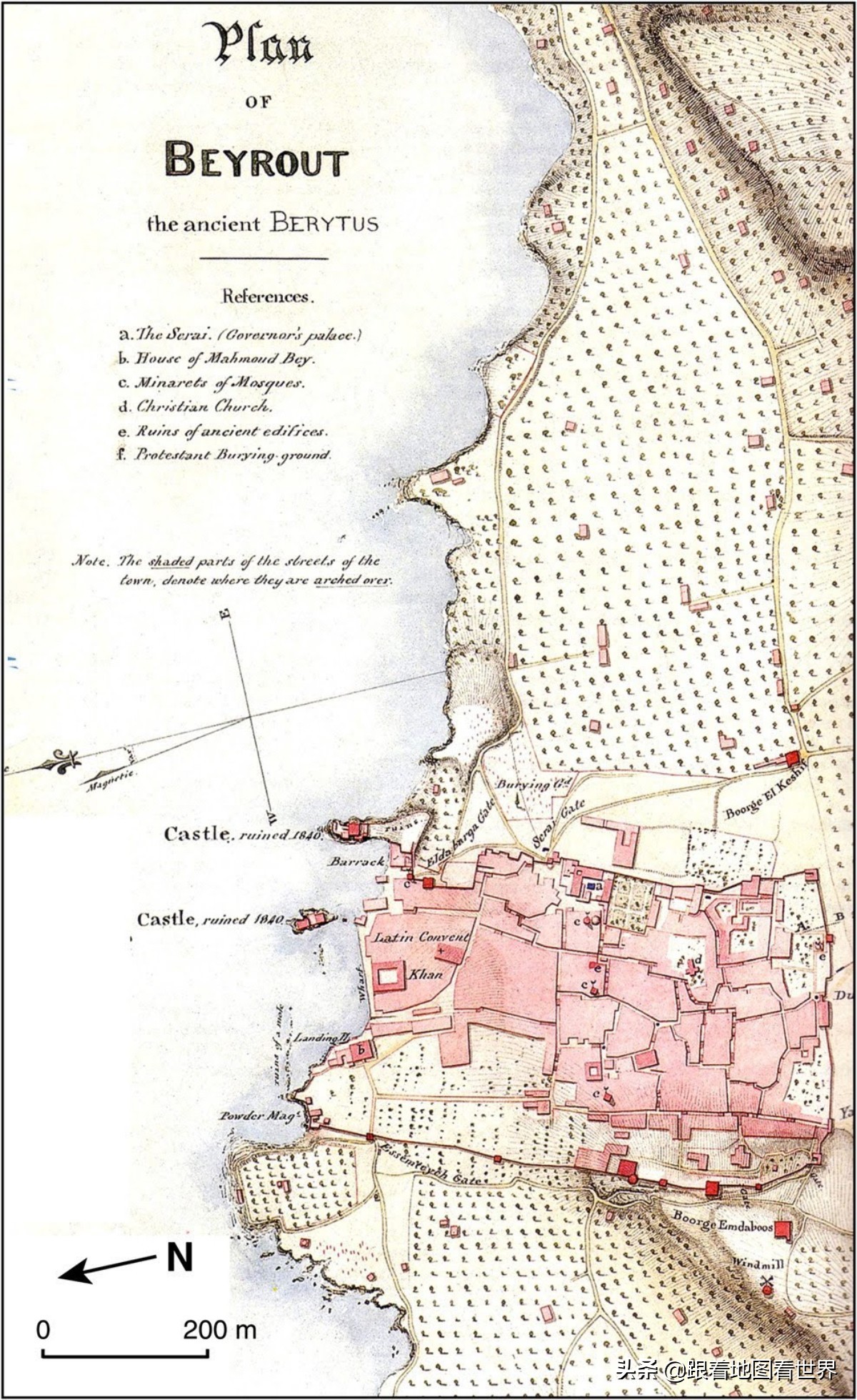 榛庡反瀚╄礉椴佺壒姘翠簳涔嬪煄,榛庡反瀚╄礉椴佺壒鏂囧寲涔嬮兘