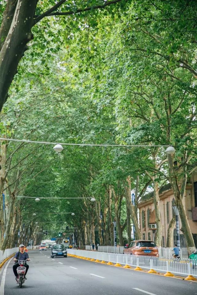 武汉市最热门的春游景点,2022武汉春游好去处