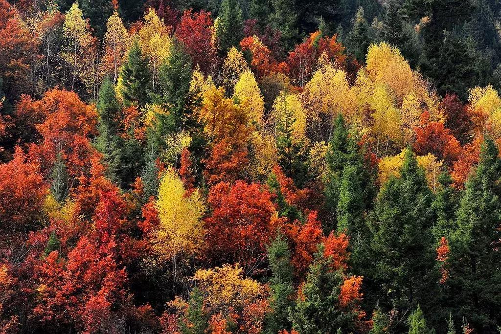 10月旅行地推荐最适合初秋出游,10月最适合慢慢旅游的地方