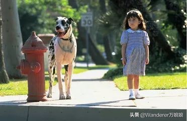 大学生必看100部英语电影,55部最适合学英语电影