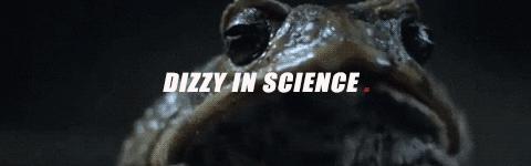 澳洲的蛤蟆有哪些,澳洲蛤蟆泛滥成灾