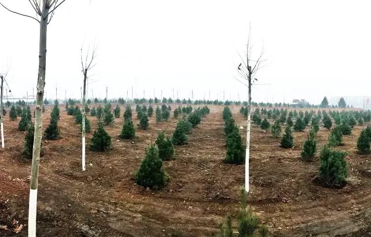 峰峰矿区哪个乡镇最好,峰峰美丽乡村都有哪些