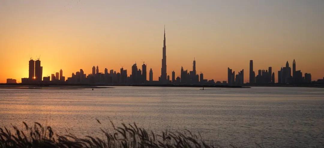 landmark杩嫓,杩嫓landmark