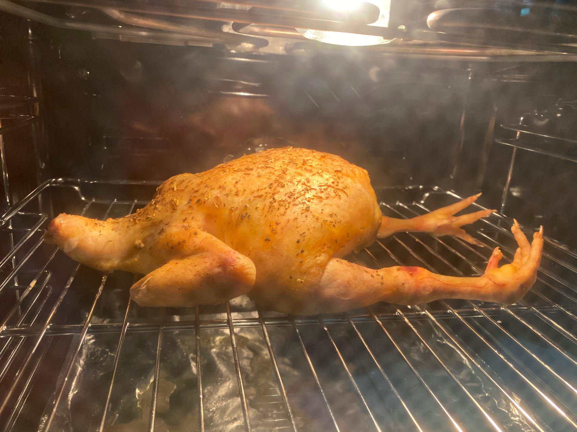 厨房好家电，生活好帮手！宅再久都不怕