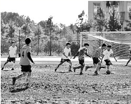 学生对校园足球的认知现状,为什么家长的想法都奇奇怪怪的
