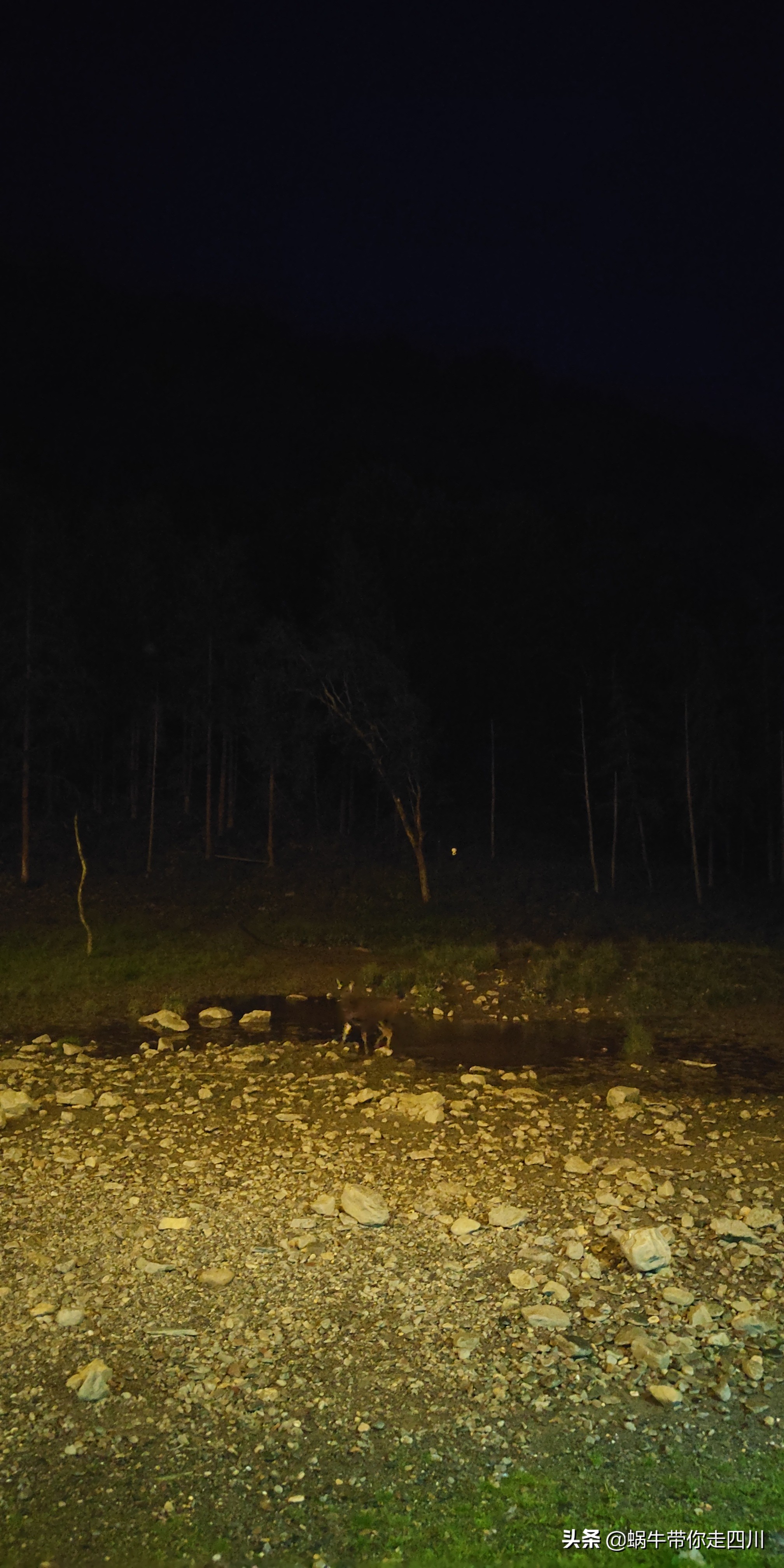 成都到西藏旅游一家三口,成都出发三天两夜旅行套票