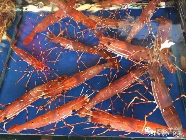 这些诱人的美食你吃过吗,世界上顶级海鲜大全你吃过几种