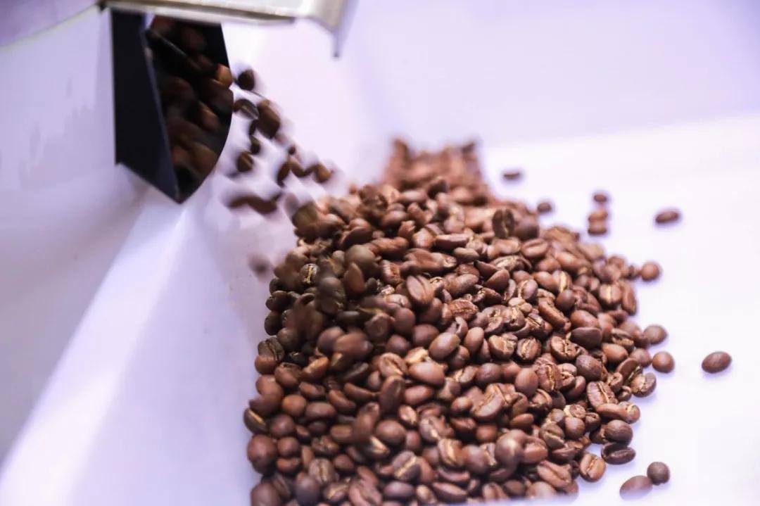 「链接」美食与机遇，撬动西南酒店餐饮内循环！—Hotelex邀你来