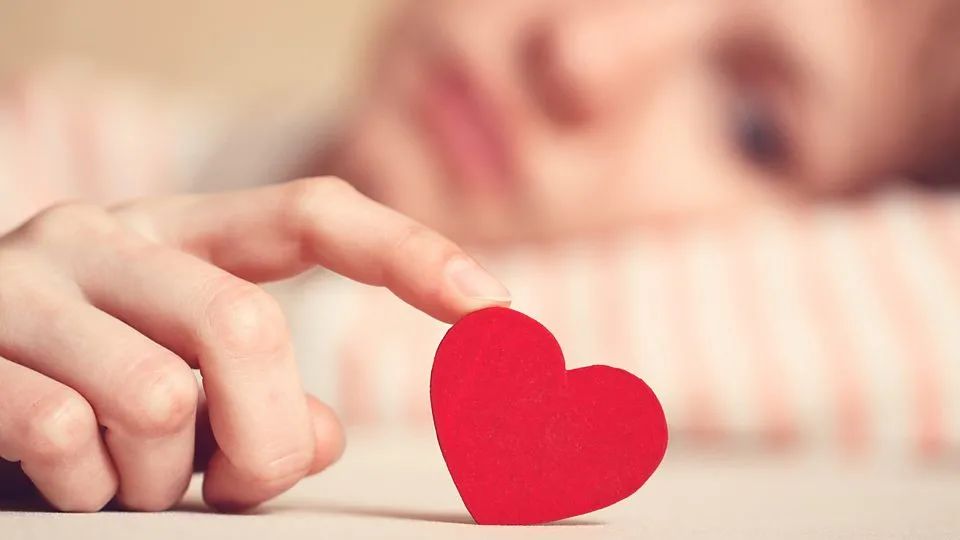 养猫心理学研究,心理学为什么忽然想养猫