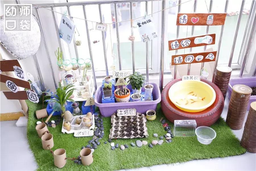特色幼儿园活动区,高端幼儿园特色活动