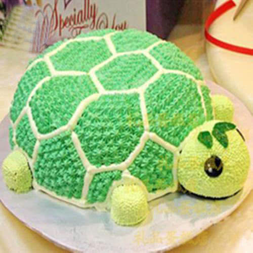 12寸水果蛋糕造型新款图片,创意造型蛋糕图片大全