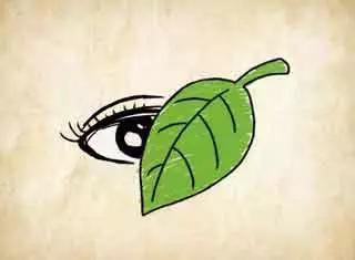 「学习」成语大全--中国全部的成语基本都在这里