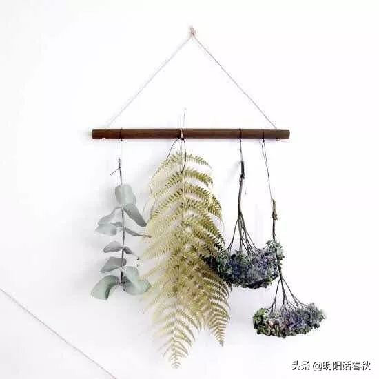 如何制作干花使其可以永久保存,如何制作干花书签