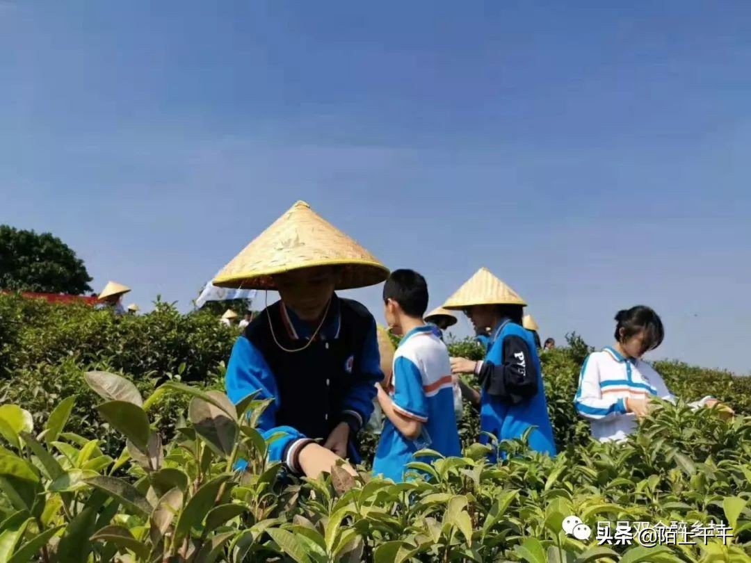 鹤山网红打卡地景点,鹤山网红打卡地