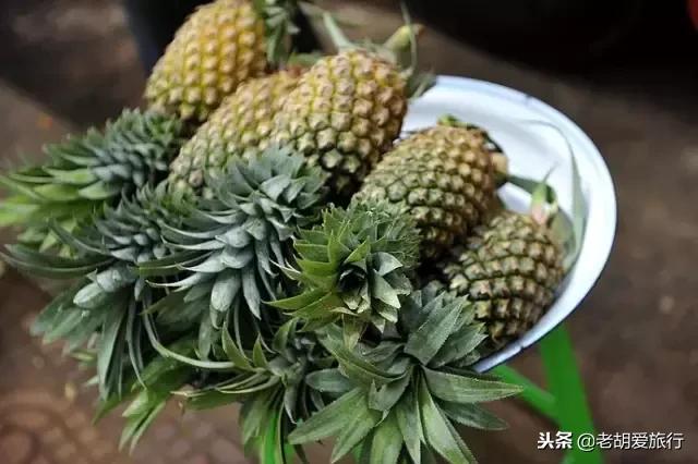 邓紫棋吃马来西亚美食,邓紫棋推荐香港美食