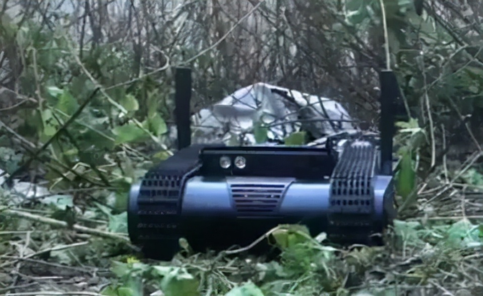 全球布局元宇宙仿生机器人的企业盘点