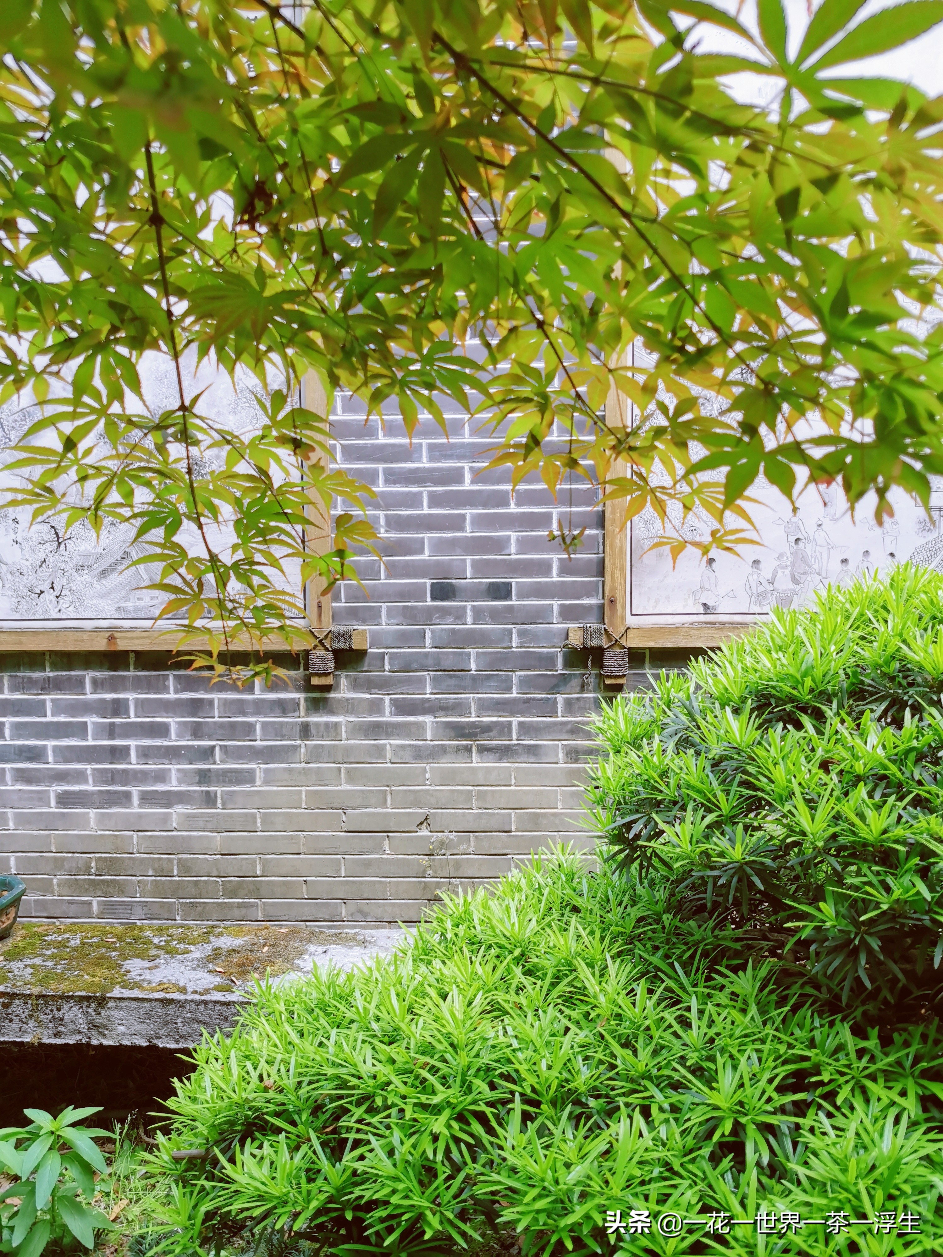 寻找巴适的成都小院(2)