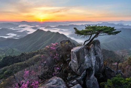南岳怀让禅师和六祖,禅宗祖师六祖大师