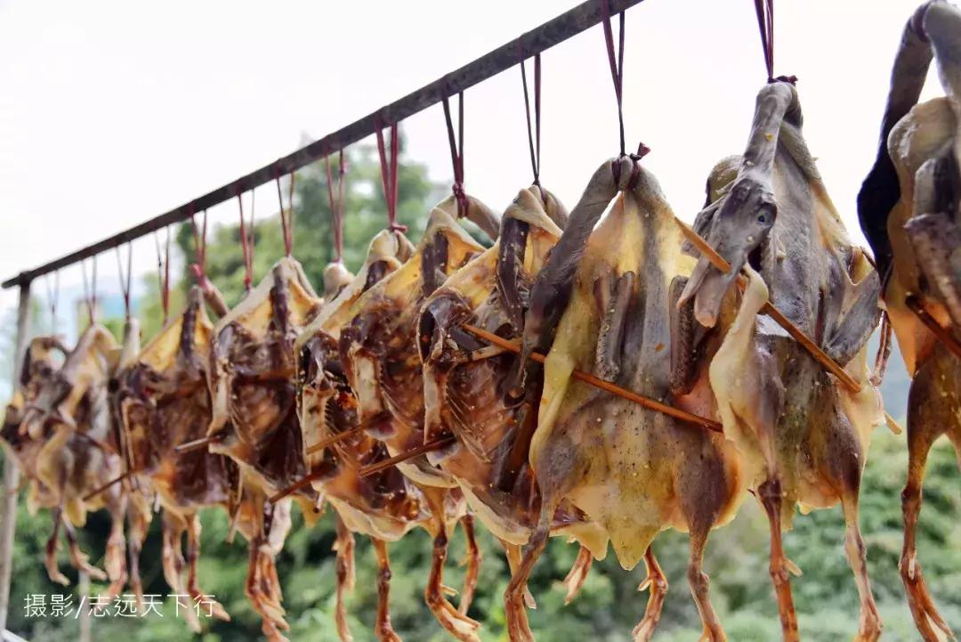 悠然三明：梅列瑞云山为佛，葡萄美酒配熏鸭