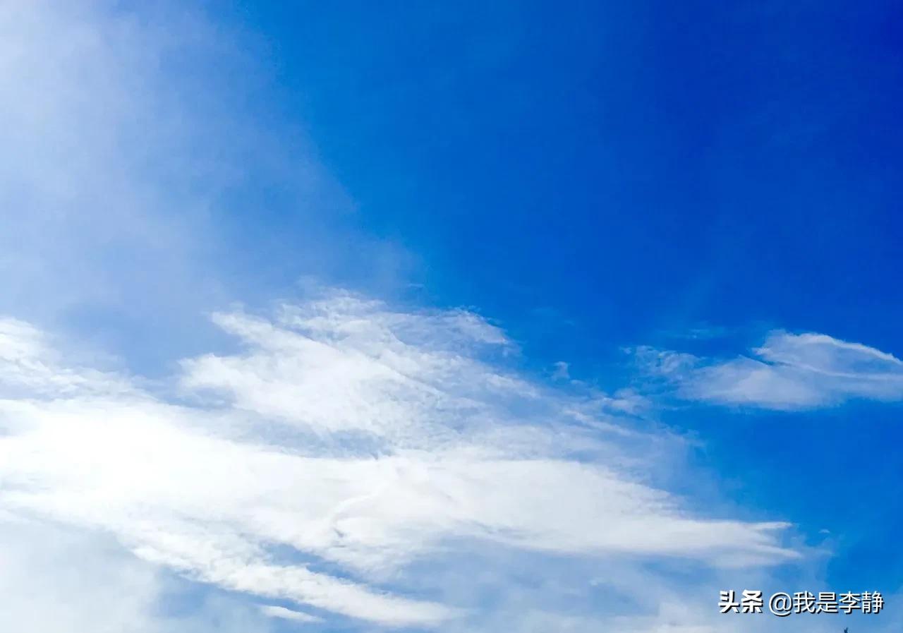 非洲的几内亚与当下的娱乐圈，一个穷的掉渣，一个富的流油